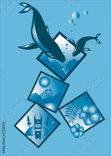 baleine cétacés animal exotique tribal décor