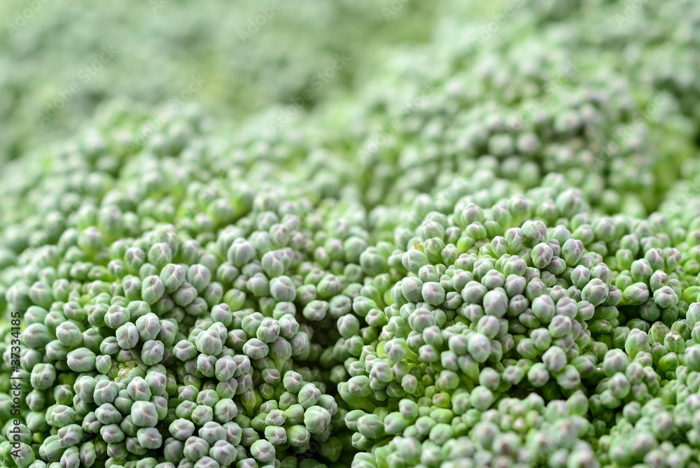 Macro, inflorescenze di broccolo 2 Macro, inflorescenze di broccolo 2