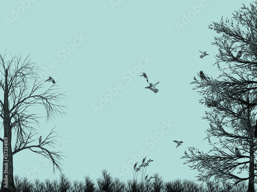 Birds flying on tree