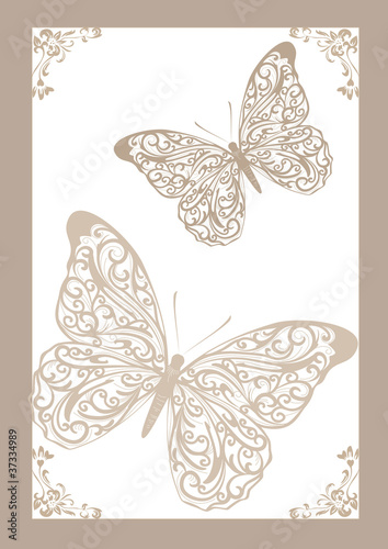 lace butterflies vector