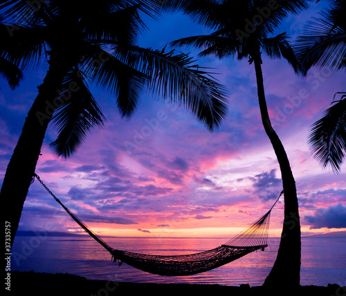 Beautiful Vacation Sunset  Hammock Silhouette with Palm Trees