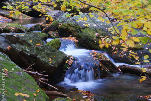 Autumn creek in forest