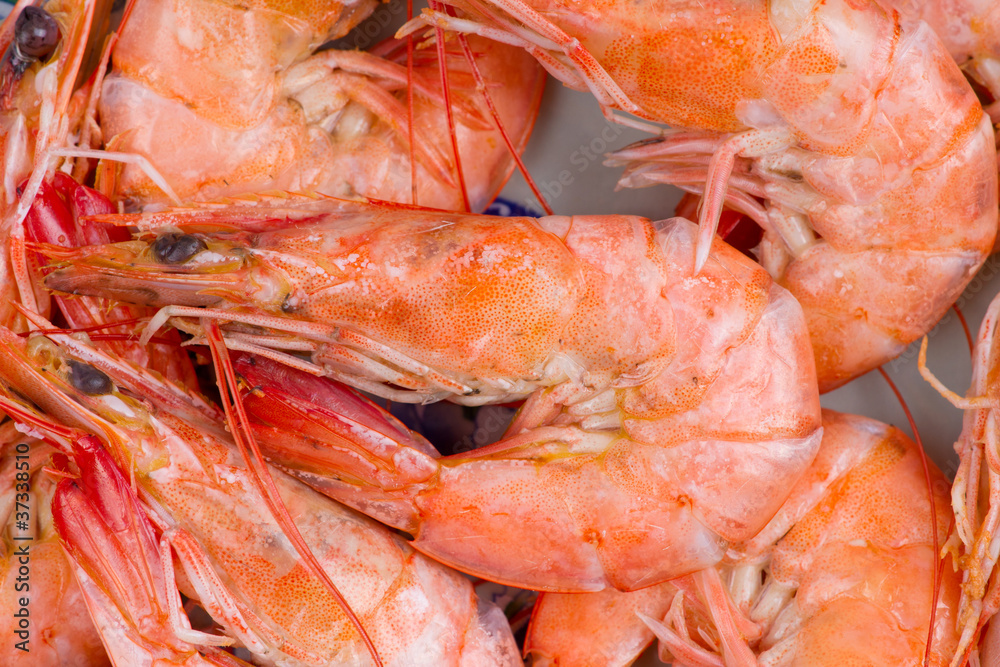 Cooked shrimp Cooked shrimp