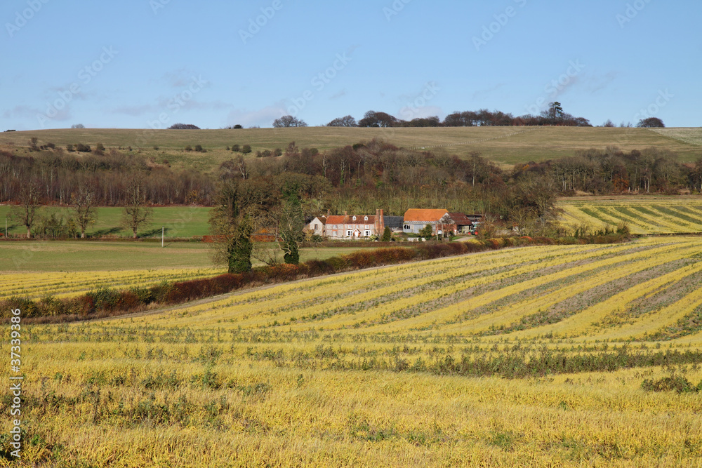 An English Rural Landscape with Farm