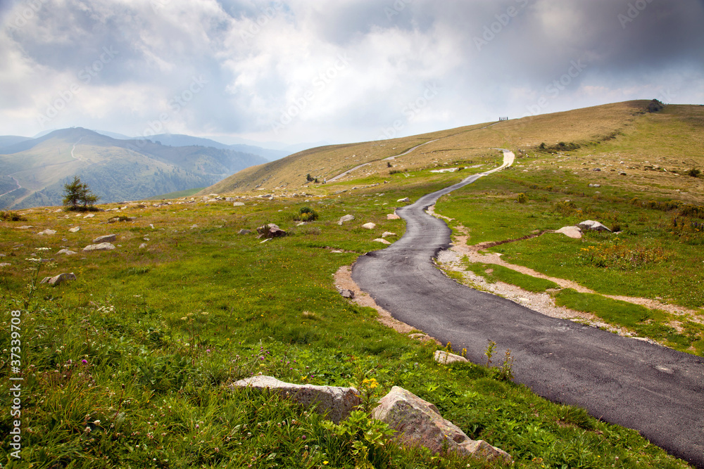 Fototapeta premium Beautiful mountain - Italian alps