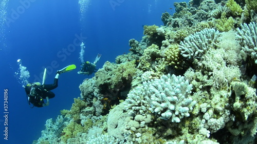 Scuba divers drifting in a current past a coral reef