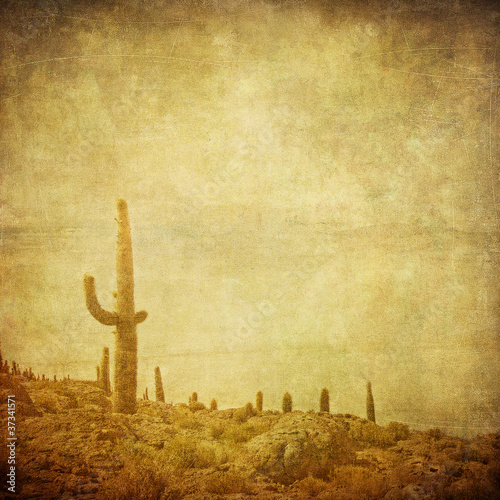 Fotografia grunge background with wild west landscape.
