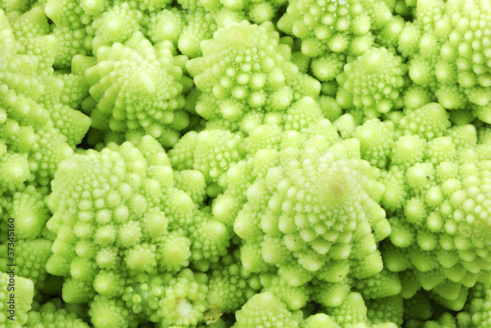 Romanesco Romanesco