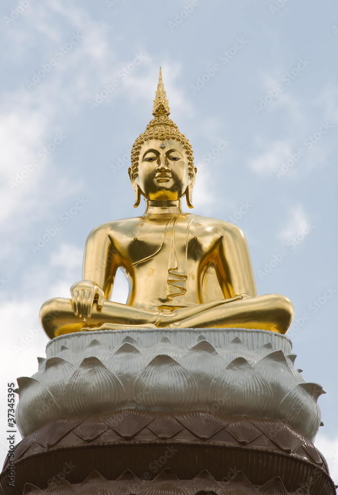 Fototapeta premium image of buddha