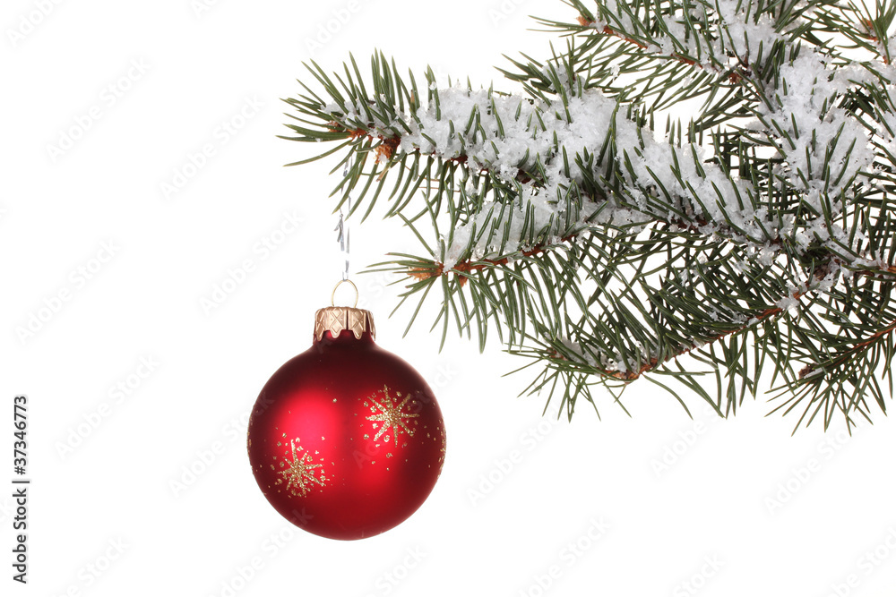 Christmas ball on the tree on white background Christmas ball on the tree on white background