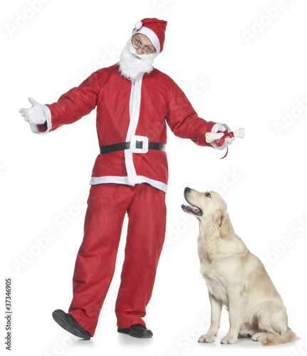 Babbo Natale premia un golden retriever con un osso