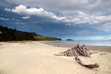 Strand im Abel Tasman Nationalpark
