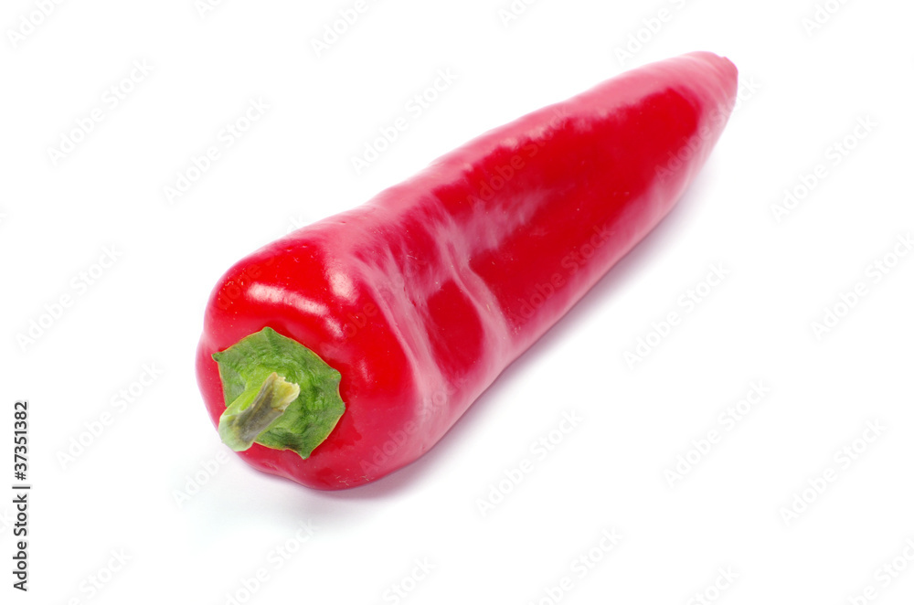 chili pepper chili pepper