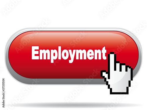 EMPLOYMENT ICON