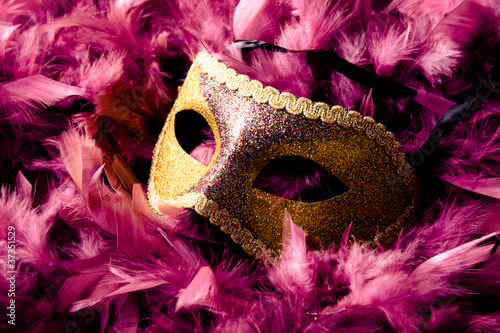 Fototapeta Naklejka Na Ścianę i Meble -  carnival mask