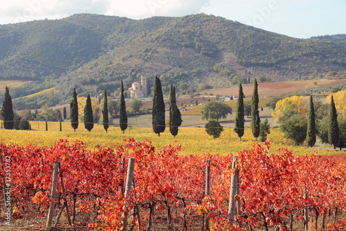 fantastic landscape of tuscan vineyards in autumn photo