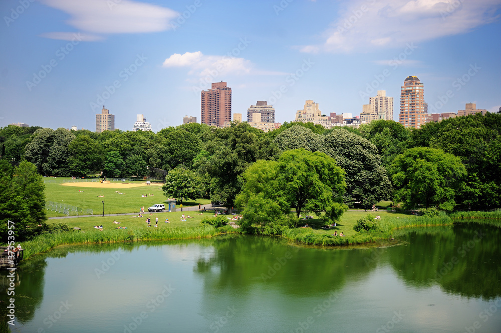 A pond in New York City Central Park in summer