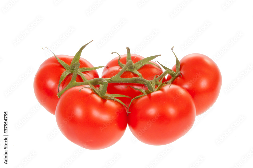 Five ripe trusse tomatoes isolated over white with clipping path Five ripe trusse tomatoes isolated over white with clipping path