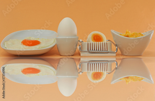 Eier