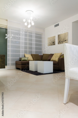 Living room with furnishings in a new house