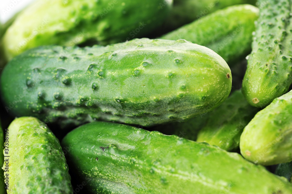 green cucumbers. green cucumbers.
