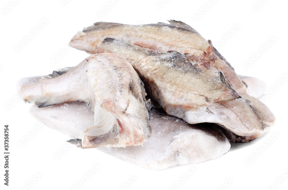 frozen fish pollock and hake isolation on white frozen fish pollock and hake isolation on white