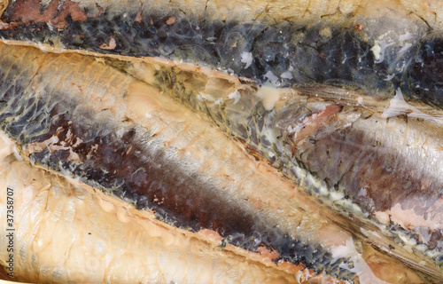 sardines in  oil as  background