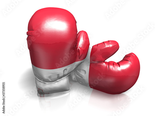 BOXING GLOVES MALTA