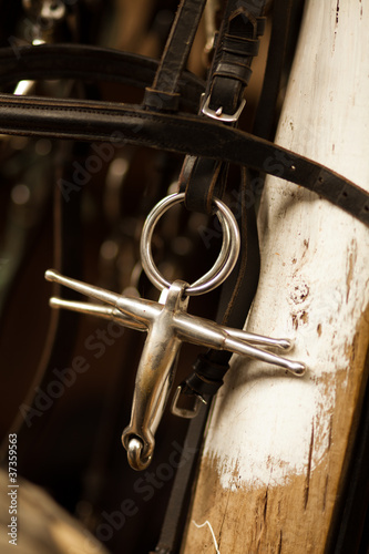 Obraz na płótnie Horse Bit Ring