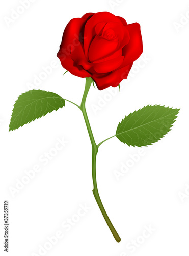 Illustration of a beautiful...
