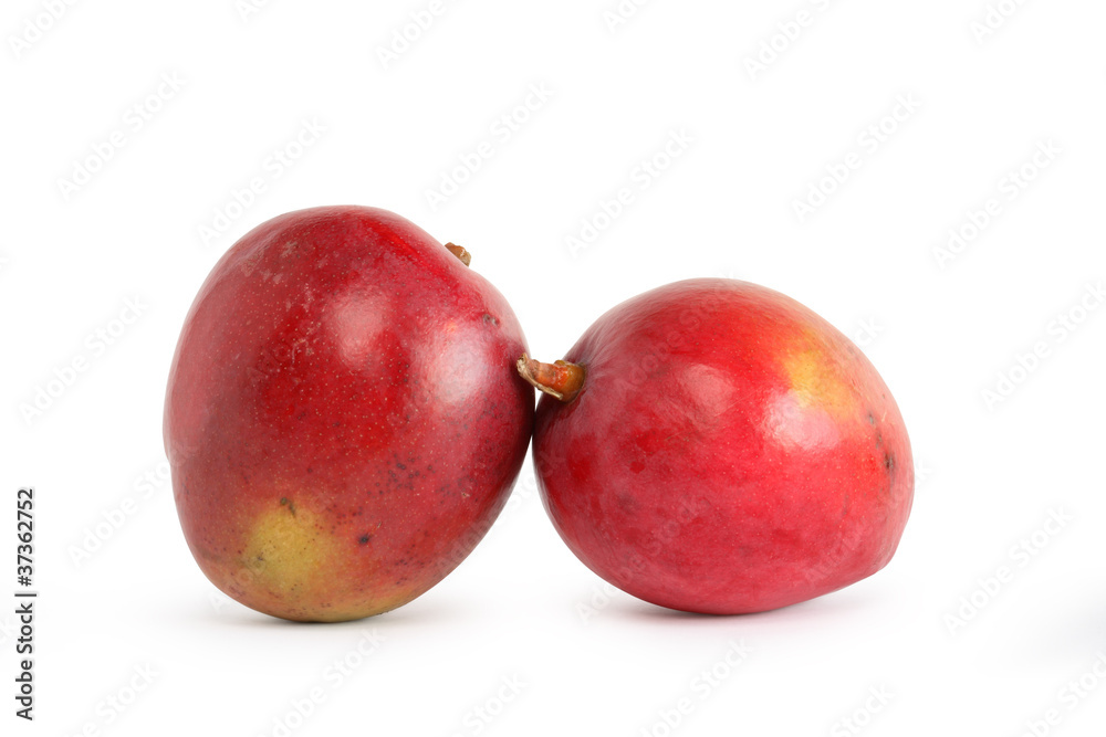 Two Mango Two Mango