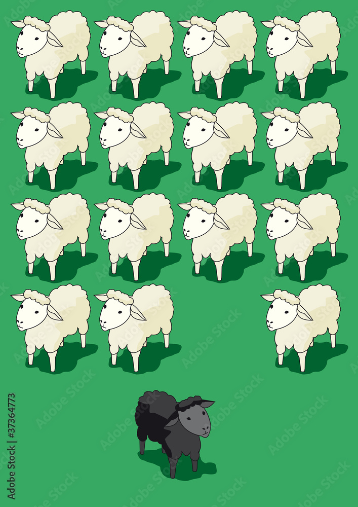 Schwarzes Schaf