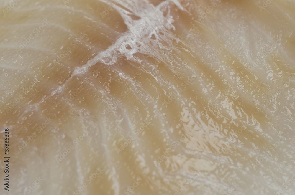 Fresh raw cod fillet Fresh raw cod fillet