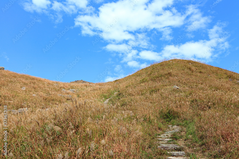landscape in mountain