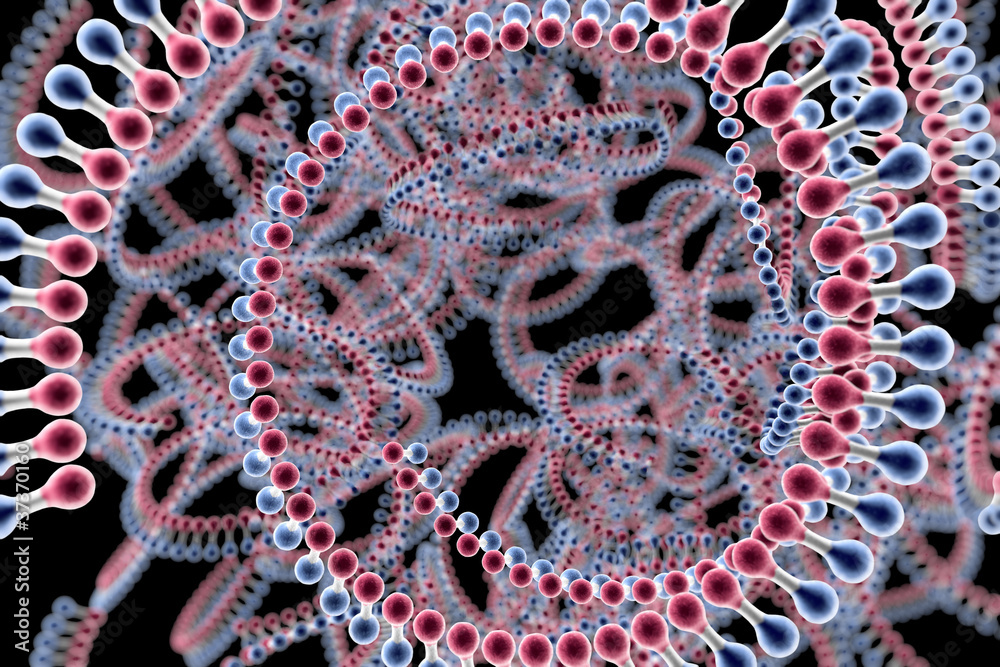 Fényképezés The genetic code