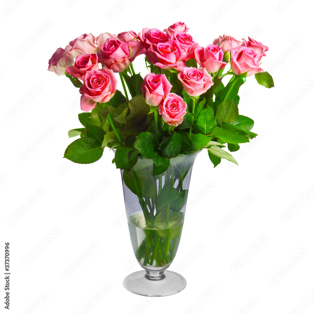bouquet of roses bouquet of roses