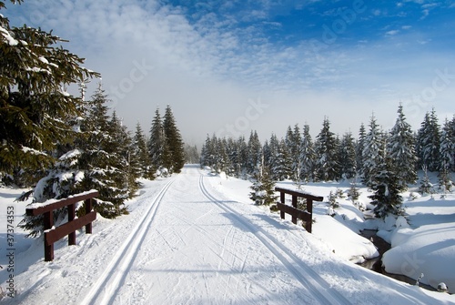 scenery with modified cross country skiing way
