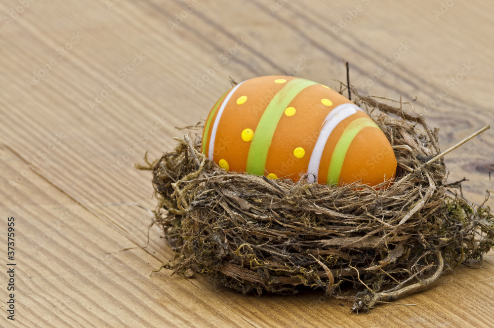 Obraz premium Eggs in the nest