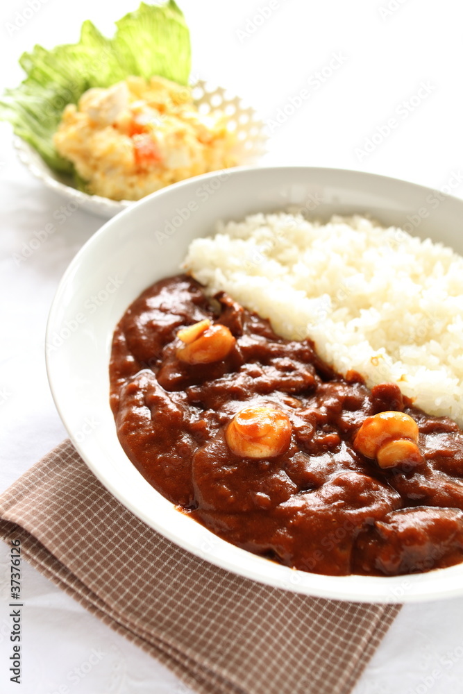 Japanese cuisine, hashed beef rice with potato salad Japanese cuisine, hashed beef rice with potato salad