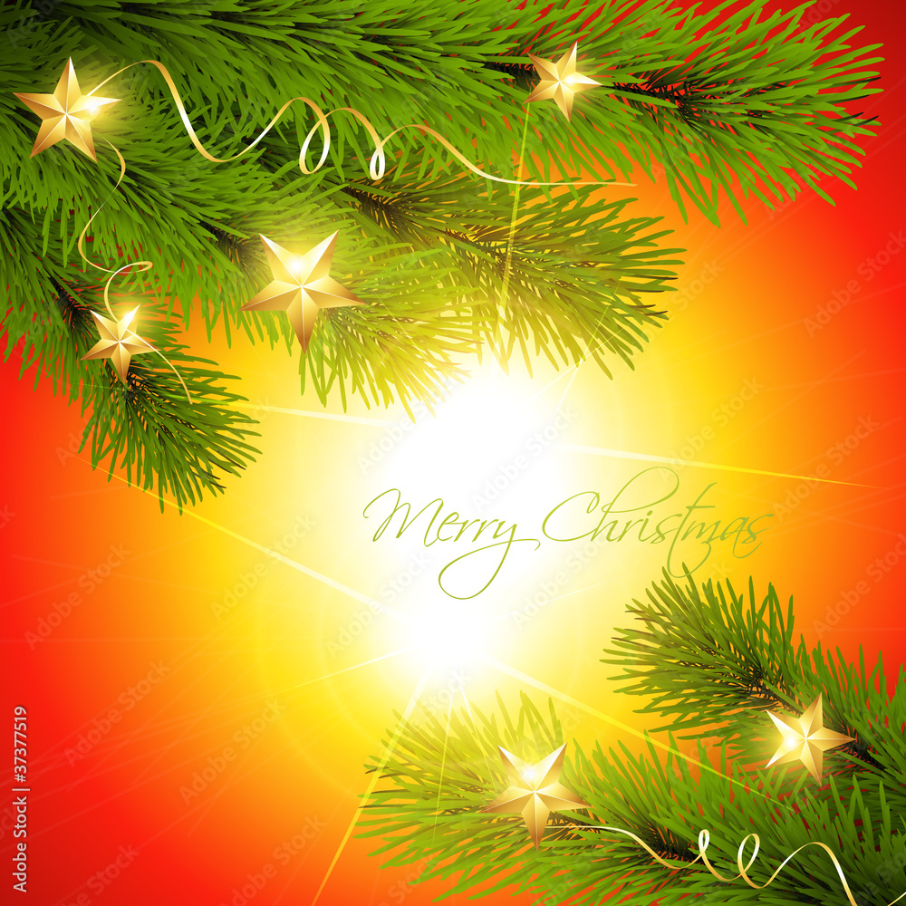 Obraz premium christmas pine tree