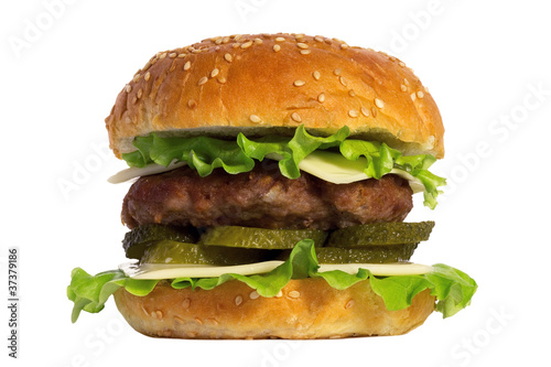 Hamburger © godunovatatiana