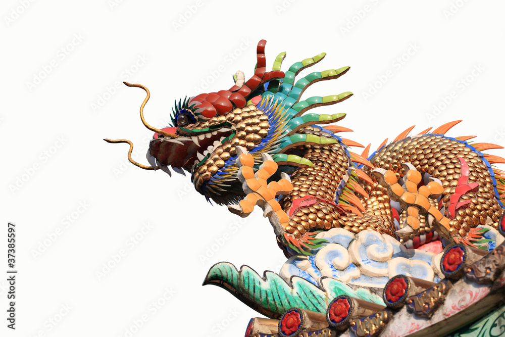 Fototapeta premium Chinese dragon isolated.