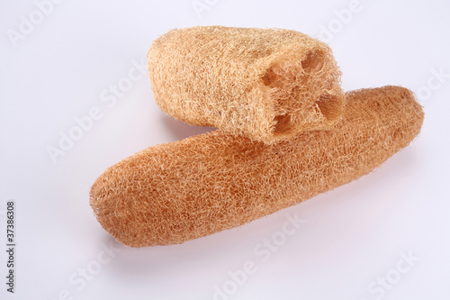 Obraz na płótnie loofah