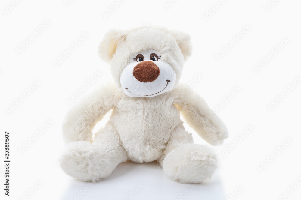 Plüschteddy Plüschteddy