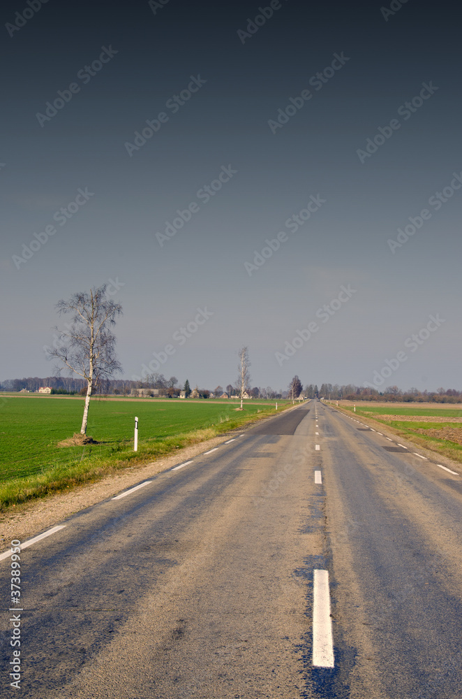 Fototapeta premium Narrow paved and patched road. agricultural fields