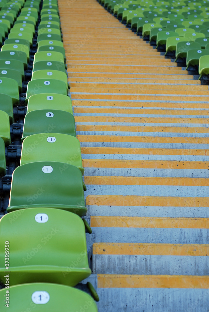 Obraz premium gniazdo