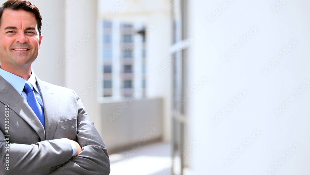 Portrait of a Successful Male Caucasian Business Executive Portrait of a Successful Male Caucasian Business Executive