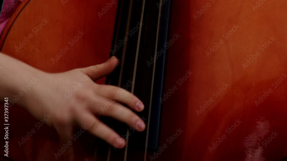 Man fast playing double bass, live concert, Man fast playing double bass, live concert,