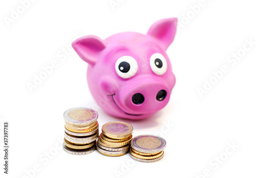 cochon positif économies