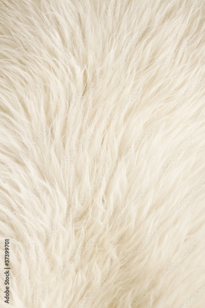 Furry white background
